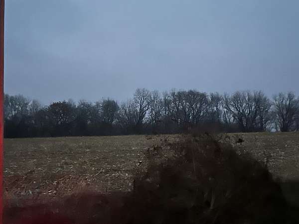 97.7 Acres of Agricultural Land for Sale in Freeport, Illinois