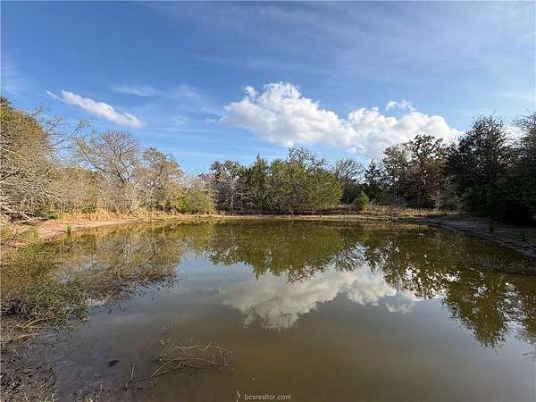 15.9 Acres of Recreational & Residential Land for Sale in Somerville, Texas