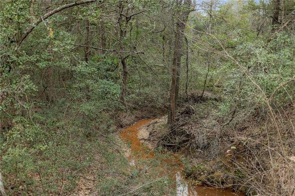 10 Acres of Recreational Land for Sale in Marquez, Texas