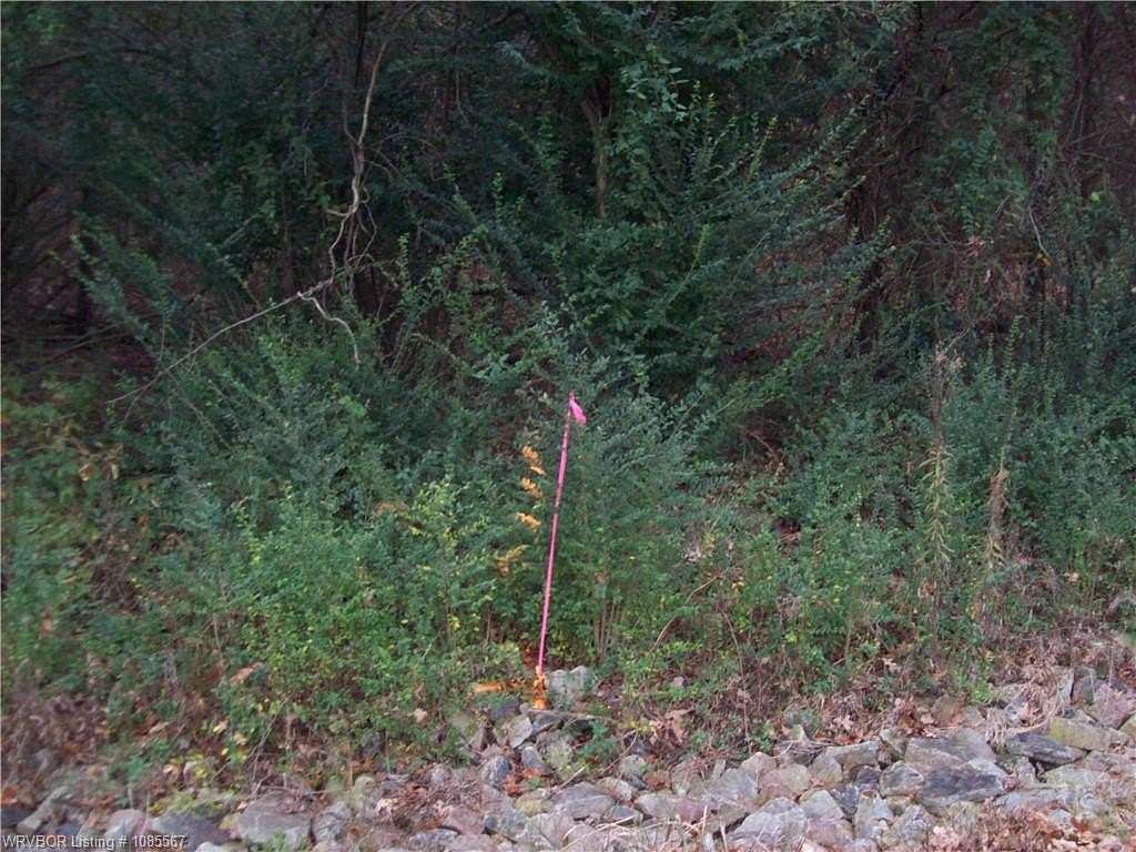 4 Acres of Land for Sale in Ozark, Arkansas