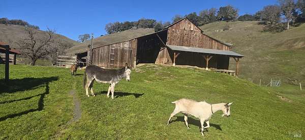21.5 Acres of Agricultural Land with Home for Sale in Ukiah, California