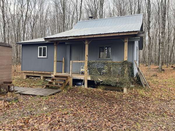 40 Acres of Improved Recreational Land for Sale in Newberry, Michigan