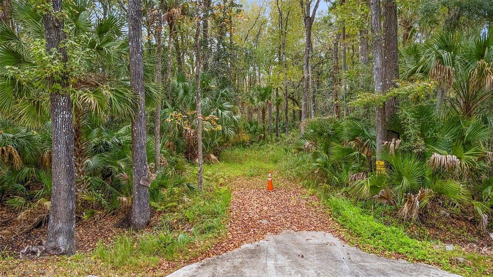 4.48 Acres of Residential Land for Sale in Oak Hill, Florida