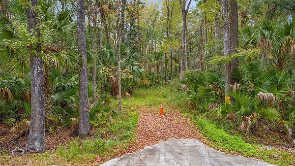 4.48 Acres of Residential Land for Sale in Oak Hill, Florida