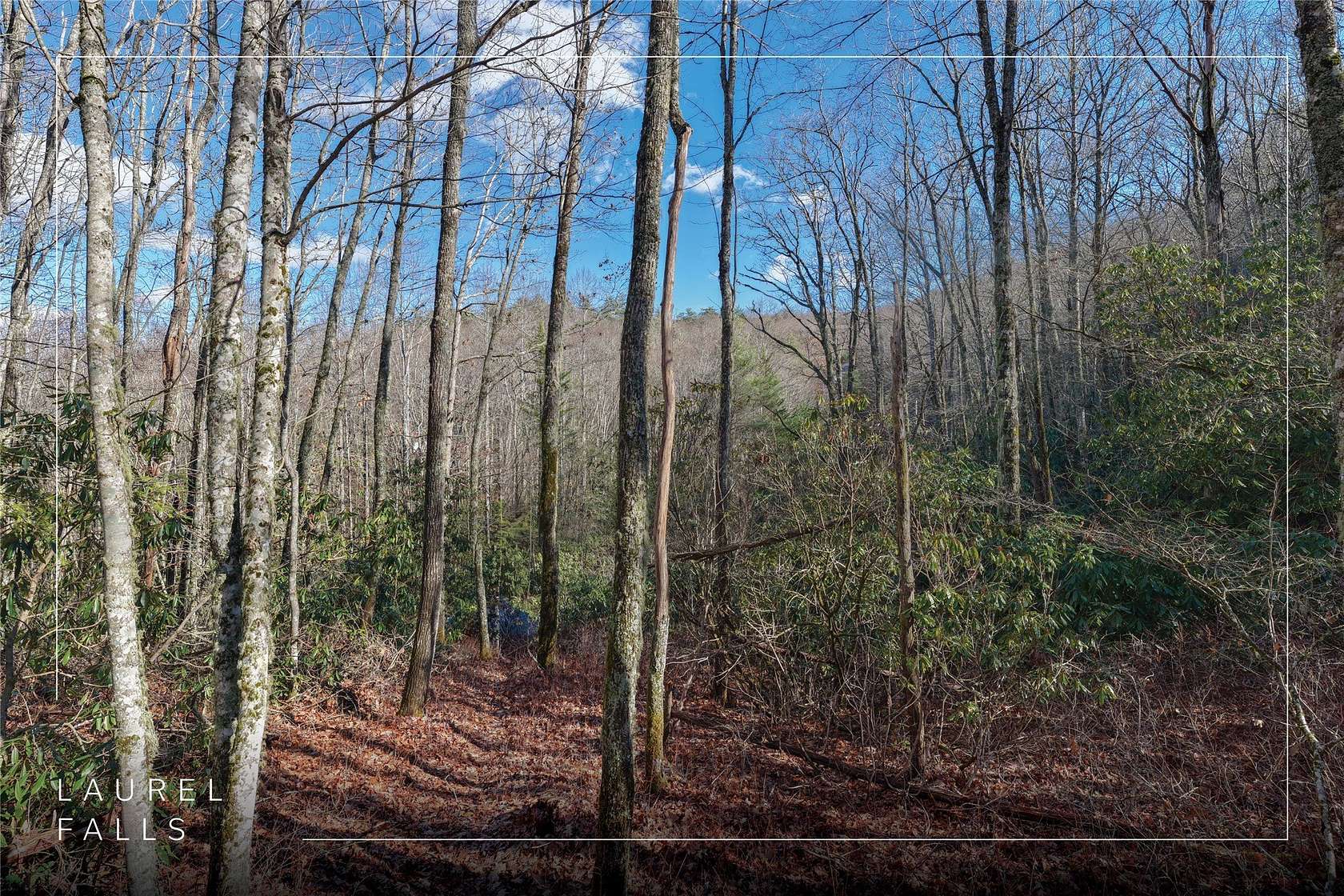 3.33 Acres of Land for Sale in Glenville, North Carolina