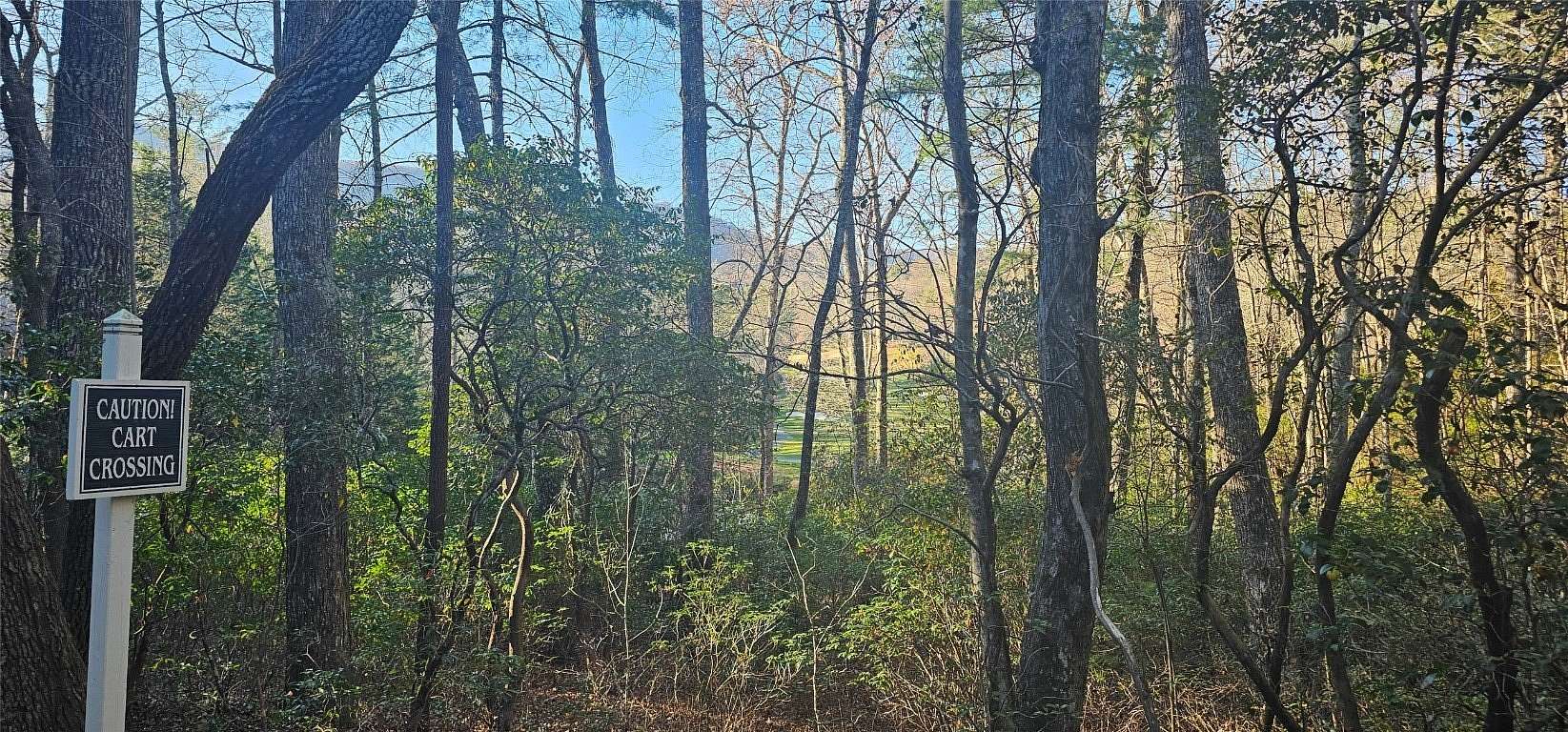 0.7 Acres of Residential Land for Sale in Lake Toxaway, North Carolina
