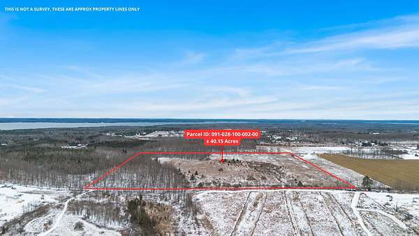 40 Acres of Agricultural Land for Sale in Cheboygan, Michigan