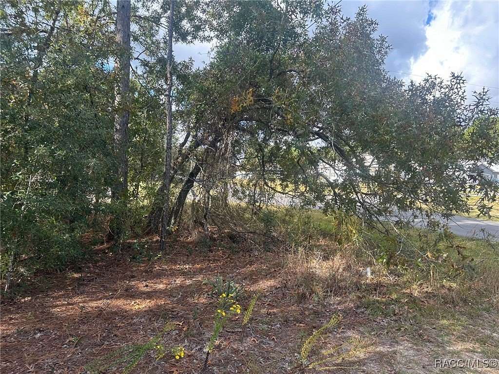 0.31 Acres of Land for Sale in Citrus Springs, Florida