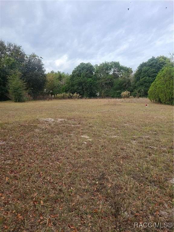 0.23 Acres of Residential Land for Sale in Dunnellon, Florida