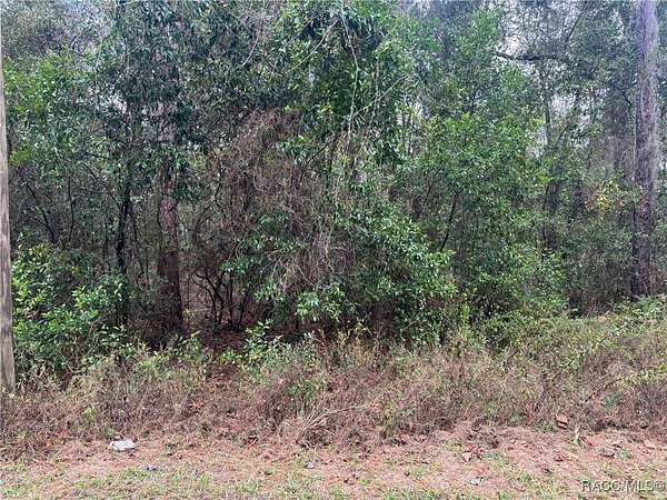 0.44 Acres of Residential Land for Sale in Inverness, Florida