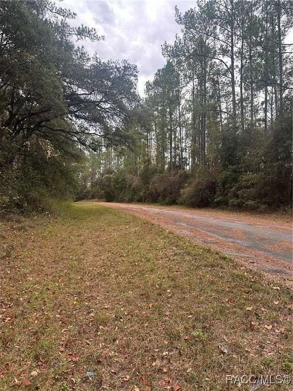 0.37 Acres of Residential Land for Sale in Dunnellon, Florida