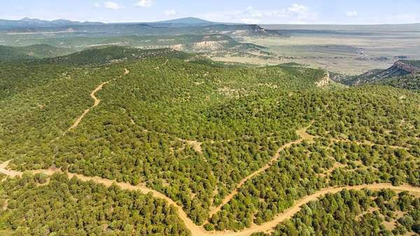 80 Acres of Land for Sale in Trinidad, Colorado
