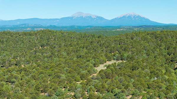 48 Acres of Land for Sale in Boncarbo, Colorado