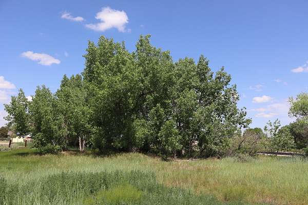 0.32 Acres of Land for Sale in Walsenburg, Colorado