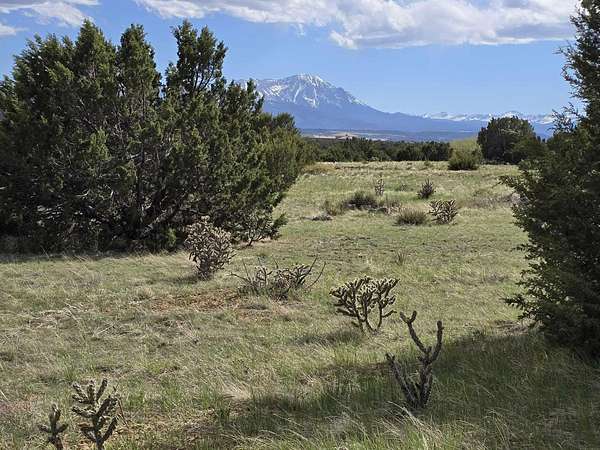 0.75 Acres of Land for Sale in Walsenburg, Colorado