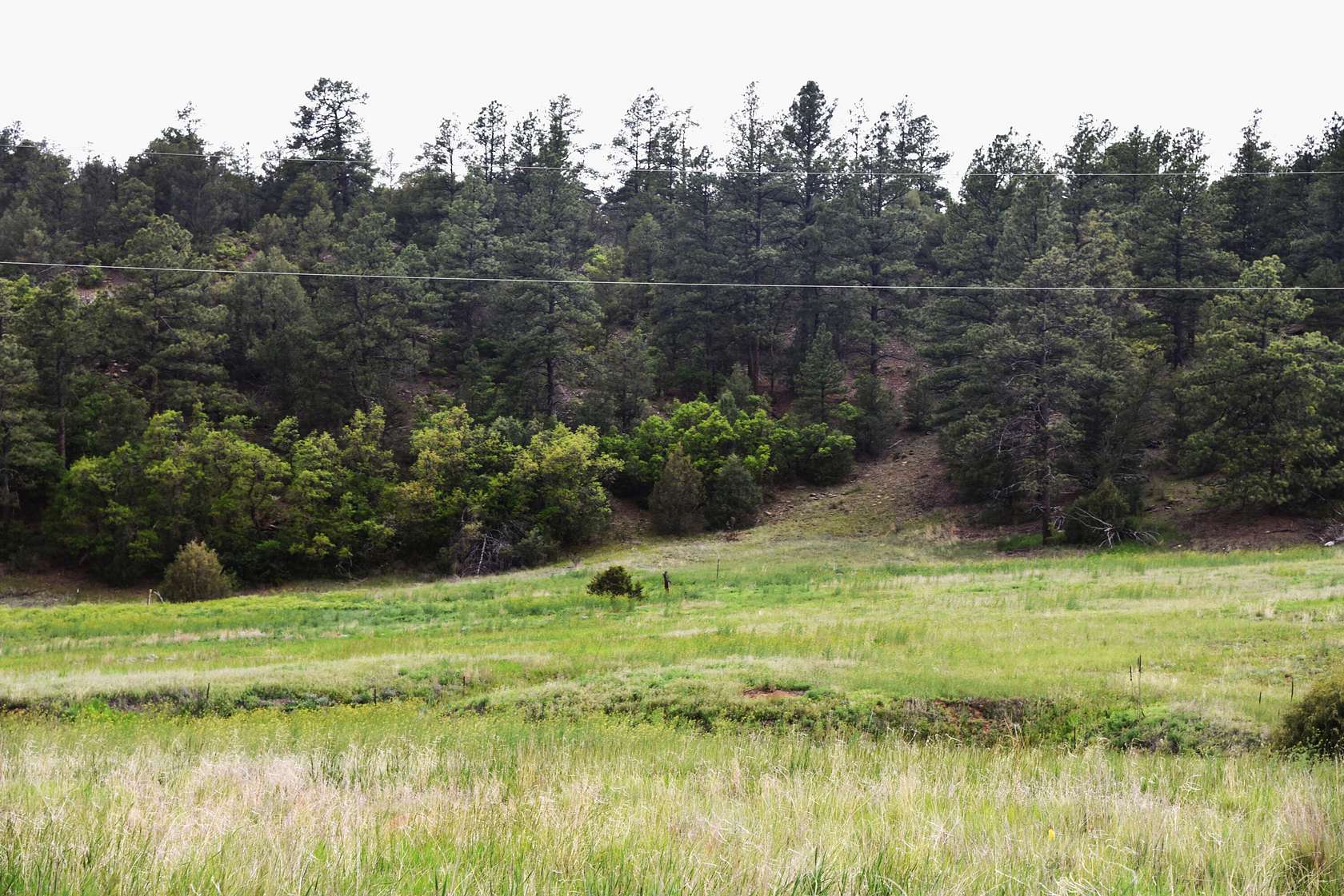 19 Acres of Land for Sale in Boncarbo, Colorado