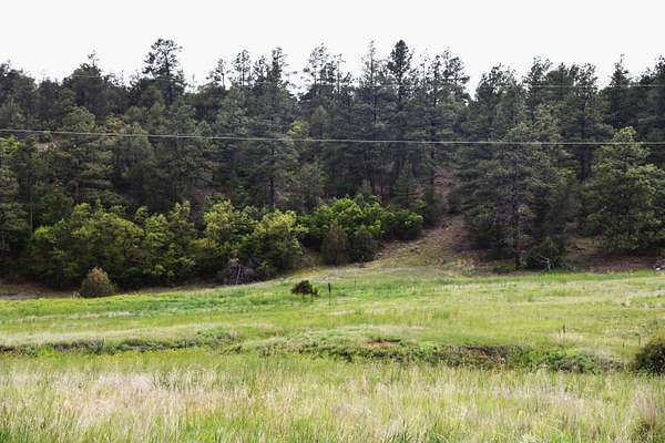 19 Acres of Land for Sale in Boncarbo, Colorado