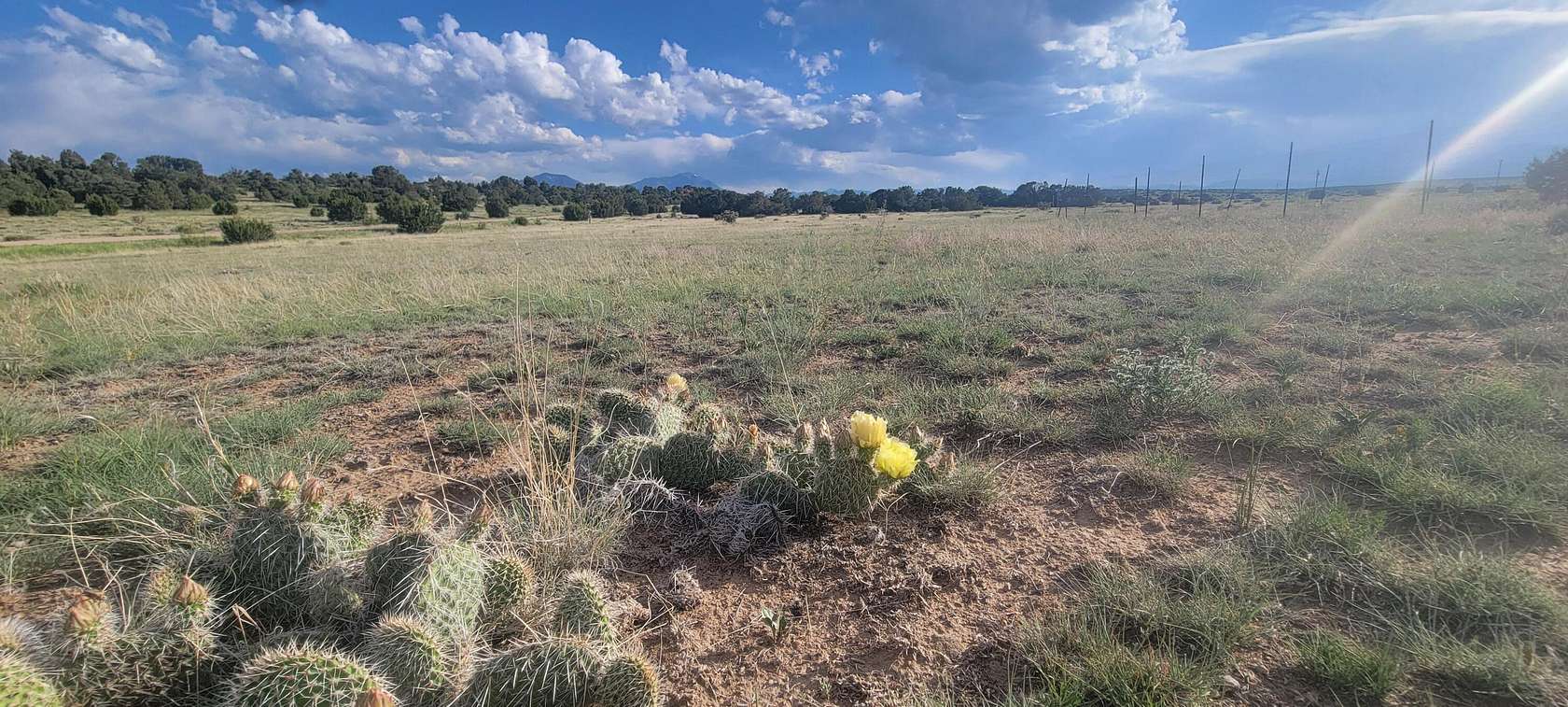 0.26 Acres of Land for Sale in Walsenburg, Colorado