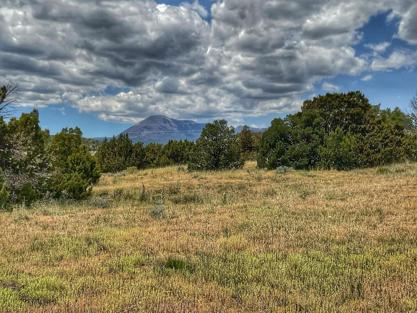 8 Acres of Land for Sale in Walsenburg, Colorado