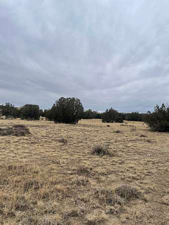 40 Acres of Land for Sale in Tyrone, Colorado