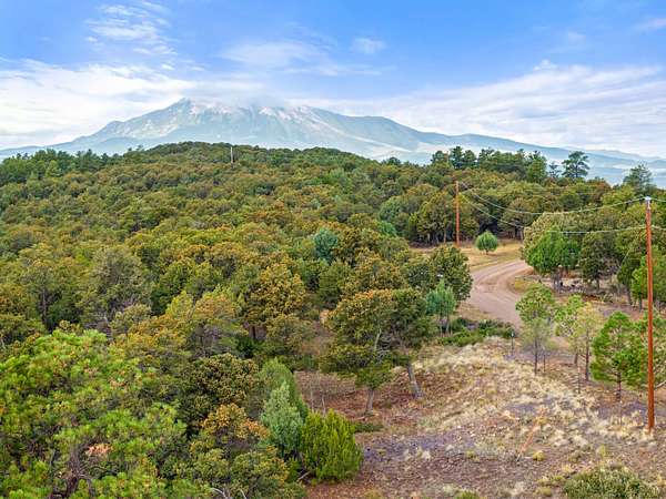 46 Acres of Land for Sale in Walsenburg, Colorado