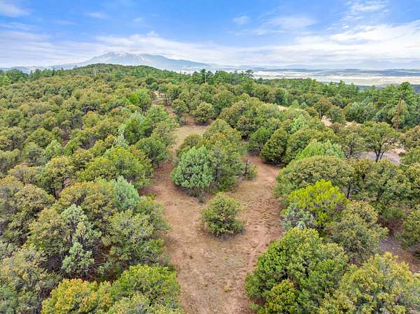 46 Acres of Land for Sale in Walsenburg, Colorado