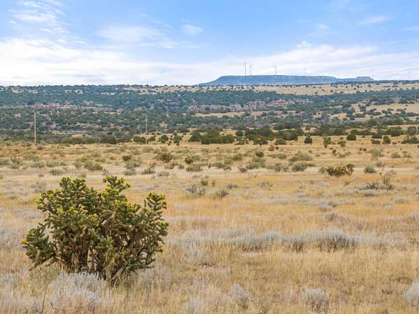 110 Acres of Land for Sale in Walsenburg, Colorado