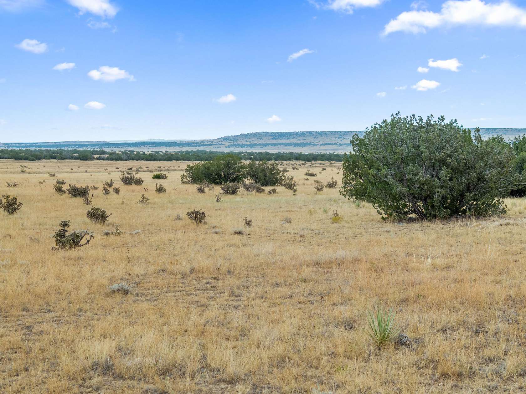 36 Acres of Land for Sale in Model, Colorado