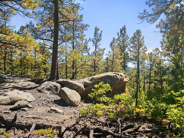 35 Acres of Land for Sale in Weston, Colorado