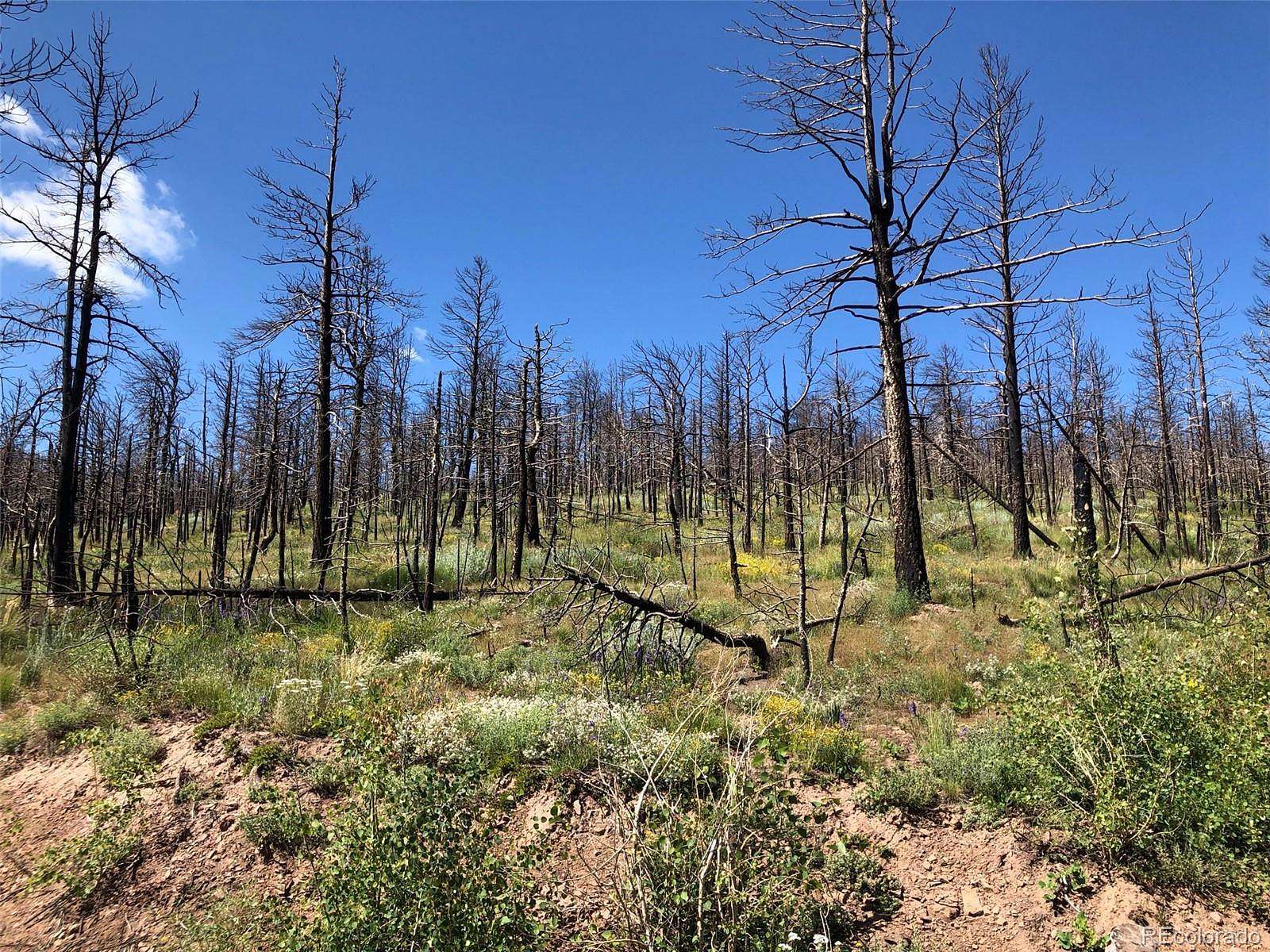 2 Acres of Land for Sale in Fort Garland, Colorado