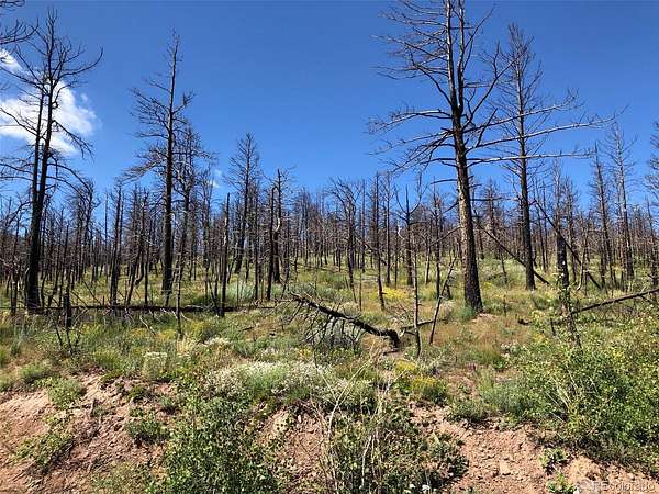 2 Acres of Land for Sale in Fort Garland, Colorado