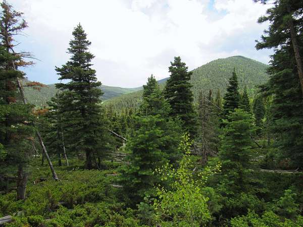 0.3 Acres of Land for Sale in Cuchara, Colorado