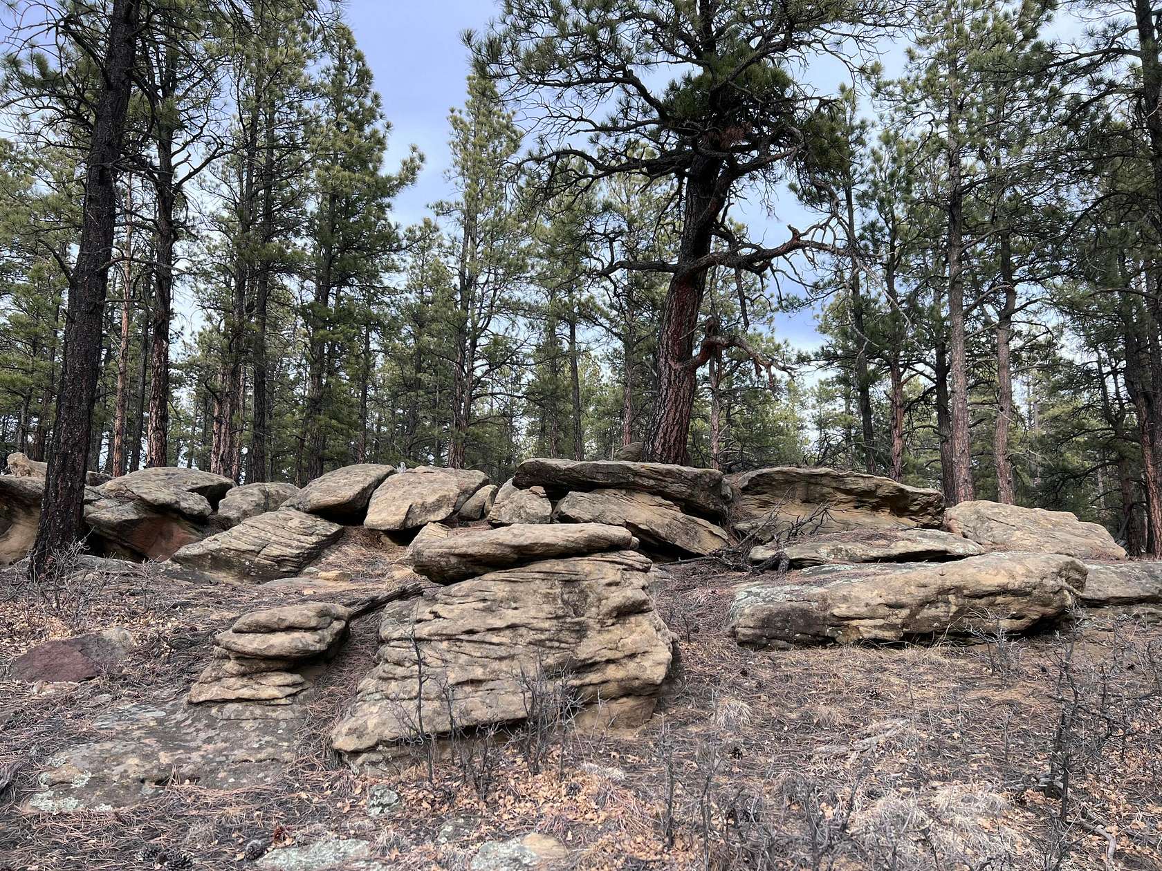 5 Acres of Land for Sale in Weston, Colorado