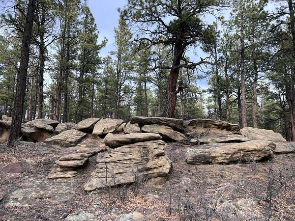 5 Acres of Land for Sale in Weston, Colorado