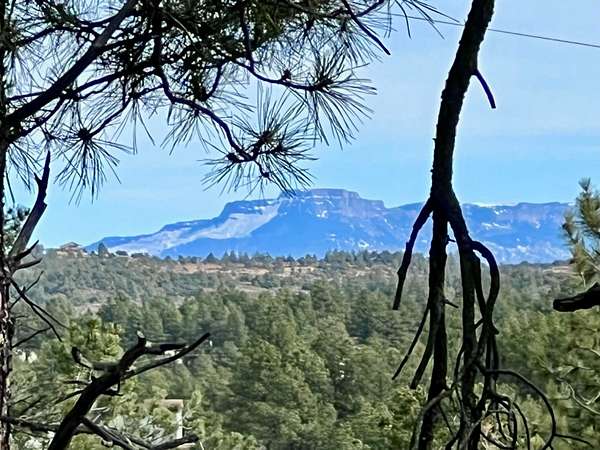 5 Acres of Land for Sale in Weston, Colorado