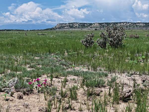 35 Acres of Land for Sale in Avondale, Colorado