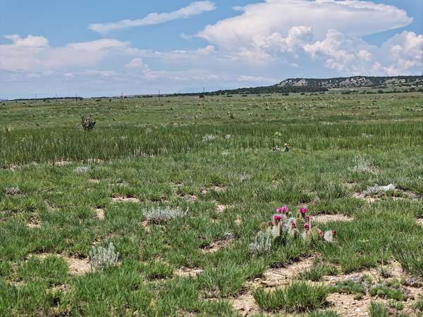 35 Acres of Land for Sale in Avondale, Colorado