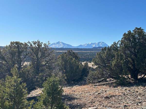 35 Acres of Land for Sale in Gardner, Colorado