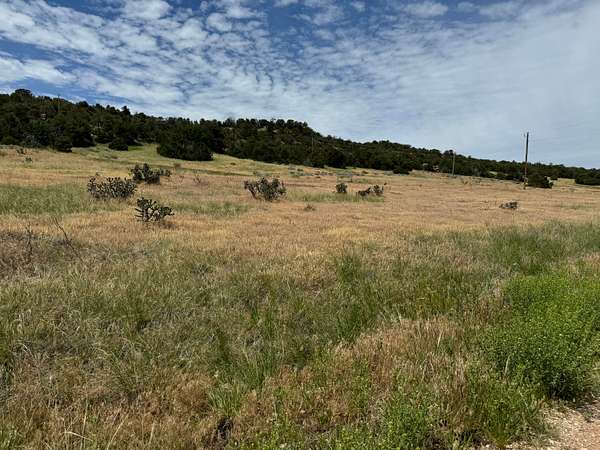 3 Acres of Land for Sale in Walsenburg, Colorado