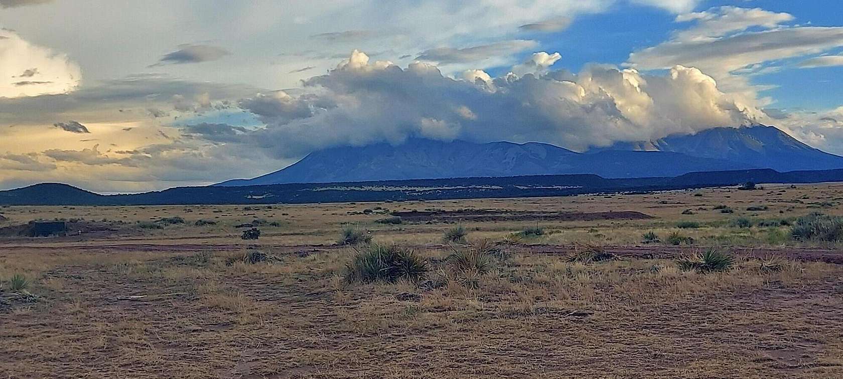 40 Acres of Land for Sale in Walsenburg, Colorado