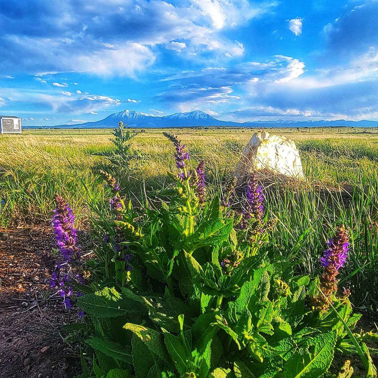 2 Acres of Land for Sale in Walsenburg, Colorado
