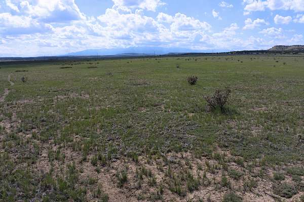 35 Acres of Land for Sale in Avondale, Colorado