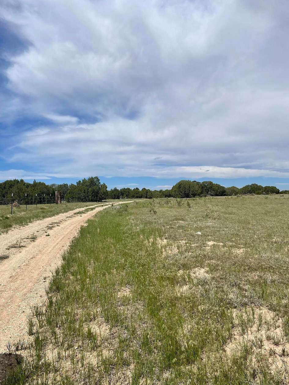 35 Acres of Land for Sale in Model, Colorado