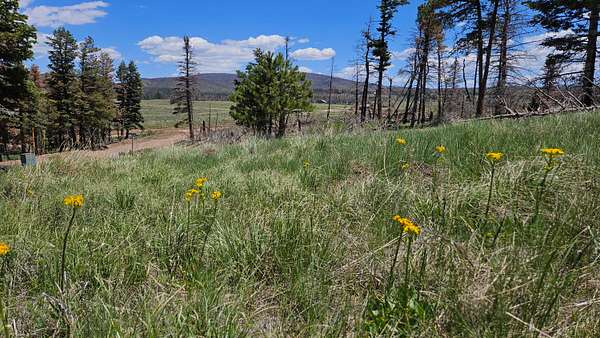 1 Acre of Land for Sale in Fort Garland, Colorado