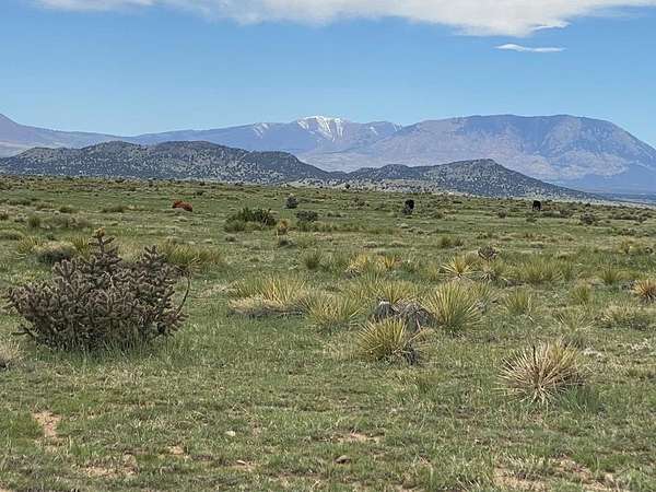 212 Acres of Recreational & Residential Land for Sale in Walsenburg, Colorado