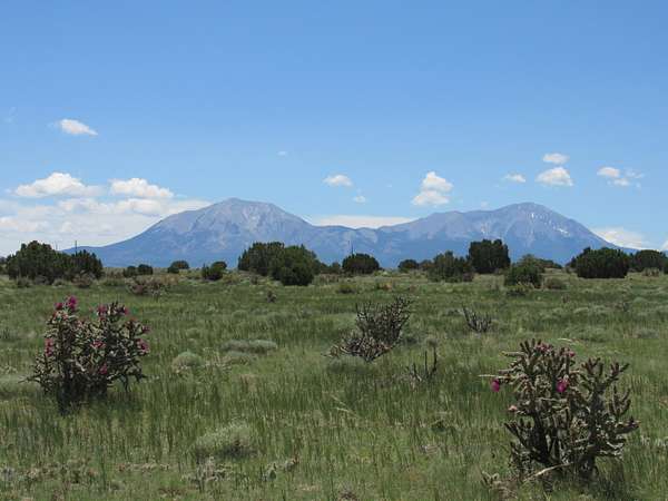 4 Acres of Land for Sale in Walsenburg, Colorado