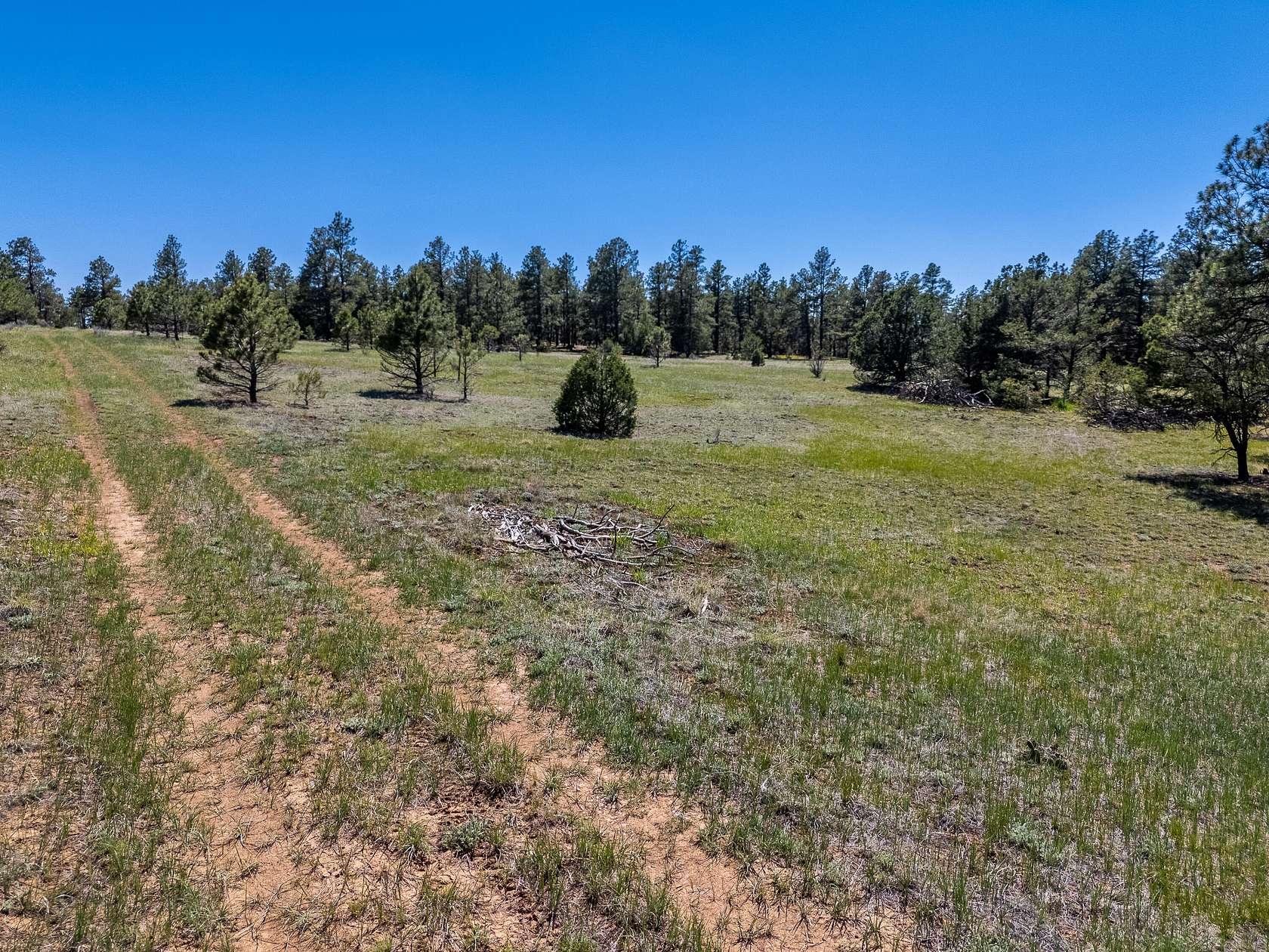 12 Acres of Land for Sale in Weston, Colorado