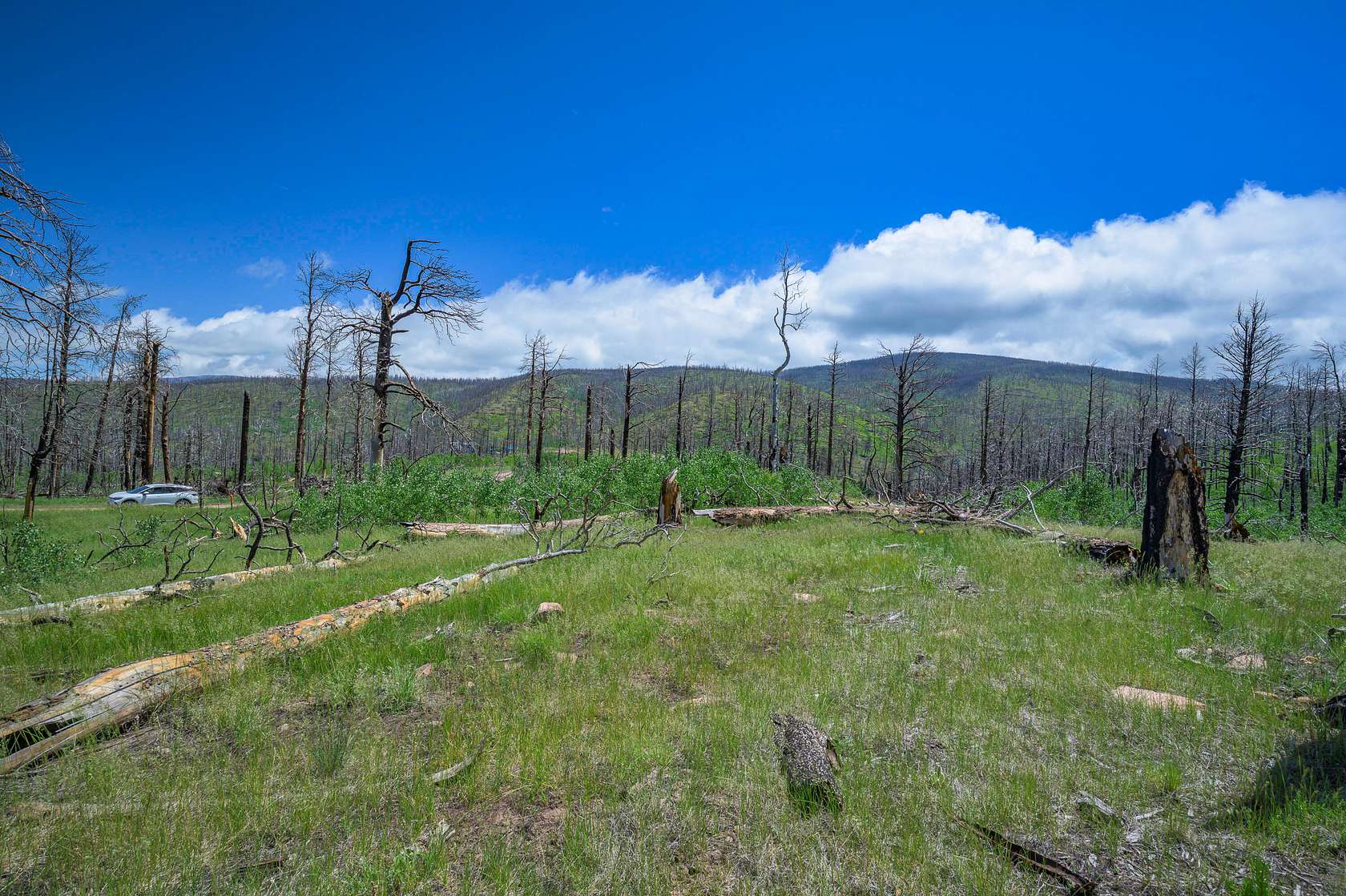 1 Acre of Land for Sale in Fort Garland, Colorado