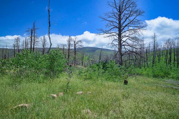 1 Acre of Land for Sale in Fort Garland, Colorado