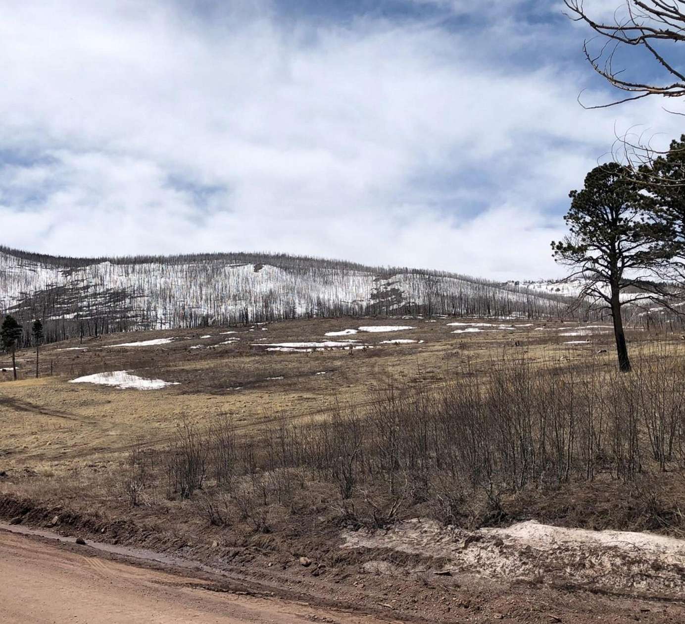 6 Acres of Land for Sale in Fort Garland, Colorado